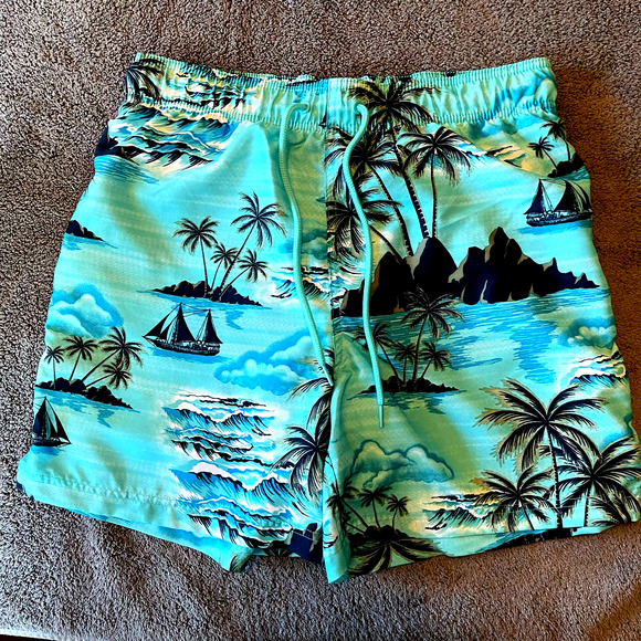Jake Austin Swim Trunks - M - Picture 1 of 4